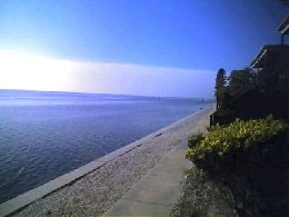 View of Tampa Bay, South Village Building 19