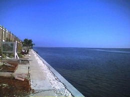 View of Tampa Bay, South Village Building 19